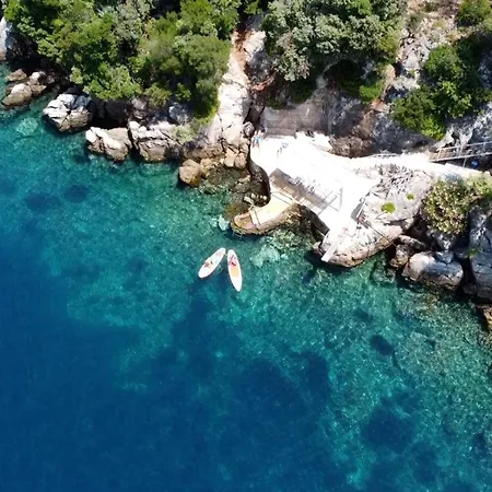 Petrosa * Gruda